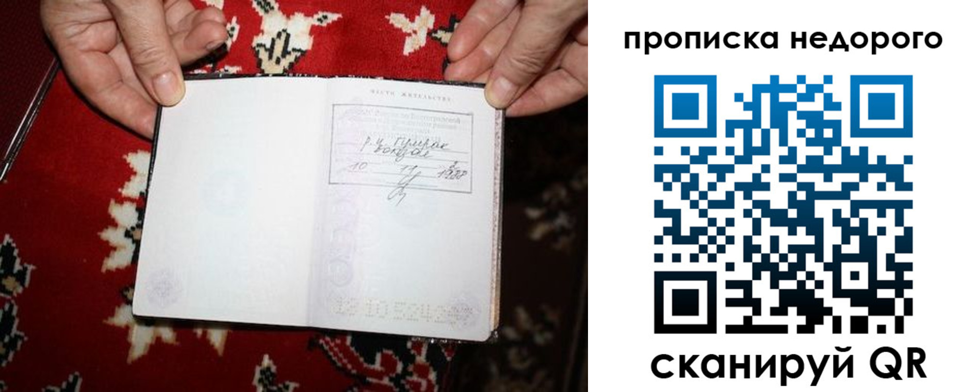прописка гарантия в Шатуре